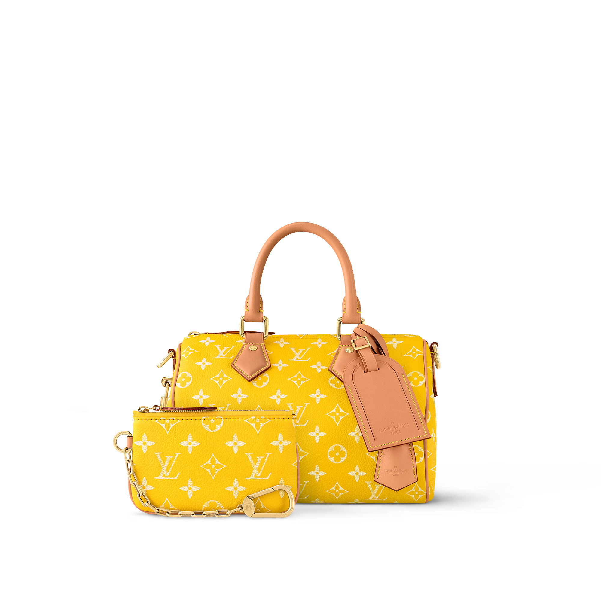 Speedy P9 Bandoulière 25 H40 - Leather Goods and Travel M24426